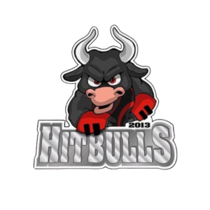 Hit Bulls